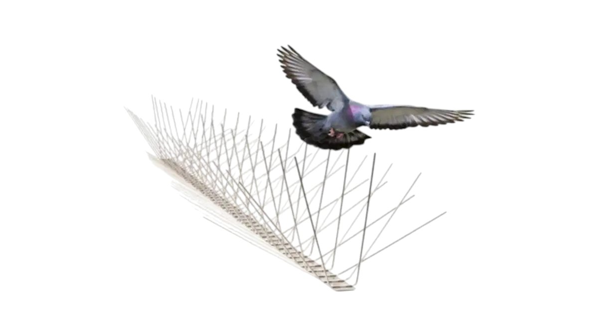 Filomat Bird Deterrent Flex Stainless Steel Spike 80 Spikes 100Cm ...