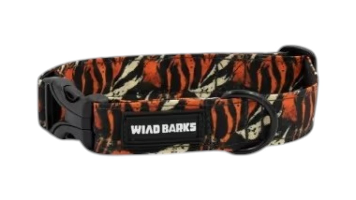 "tiger" medium collar
