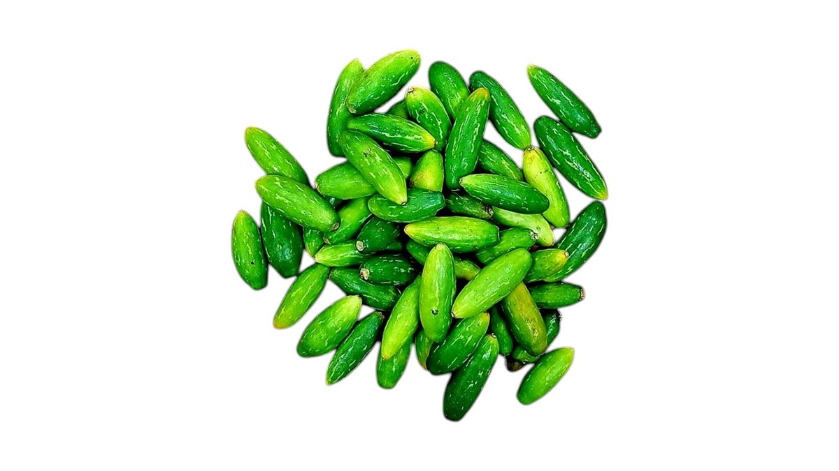 Fresh Ivy Gurad 250g