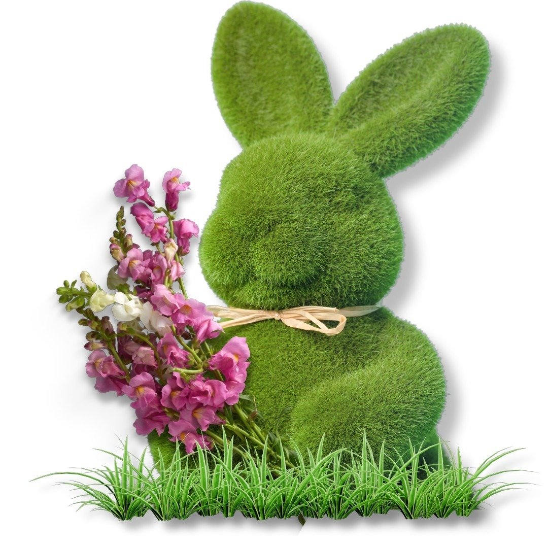 The Bunny's Flowers