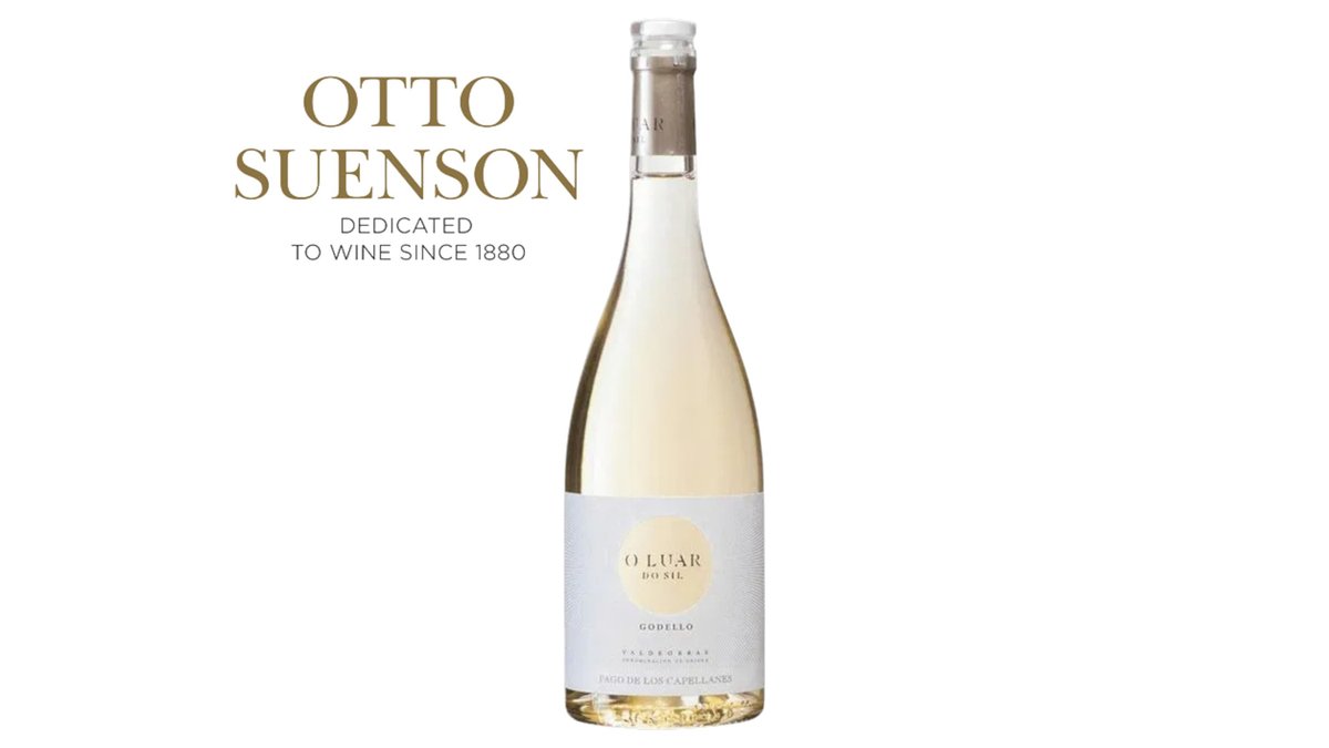🇪🇸Godello O Luar Do Sil 13,5%, Pago de los Capellanes 750 ml