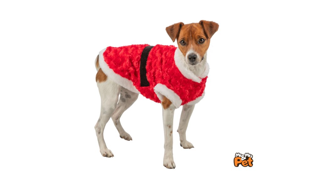 Εικονίδιο προϊόντος 2