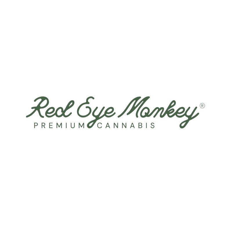 Red Eye Monkey