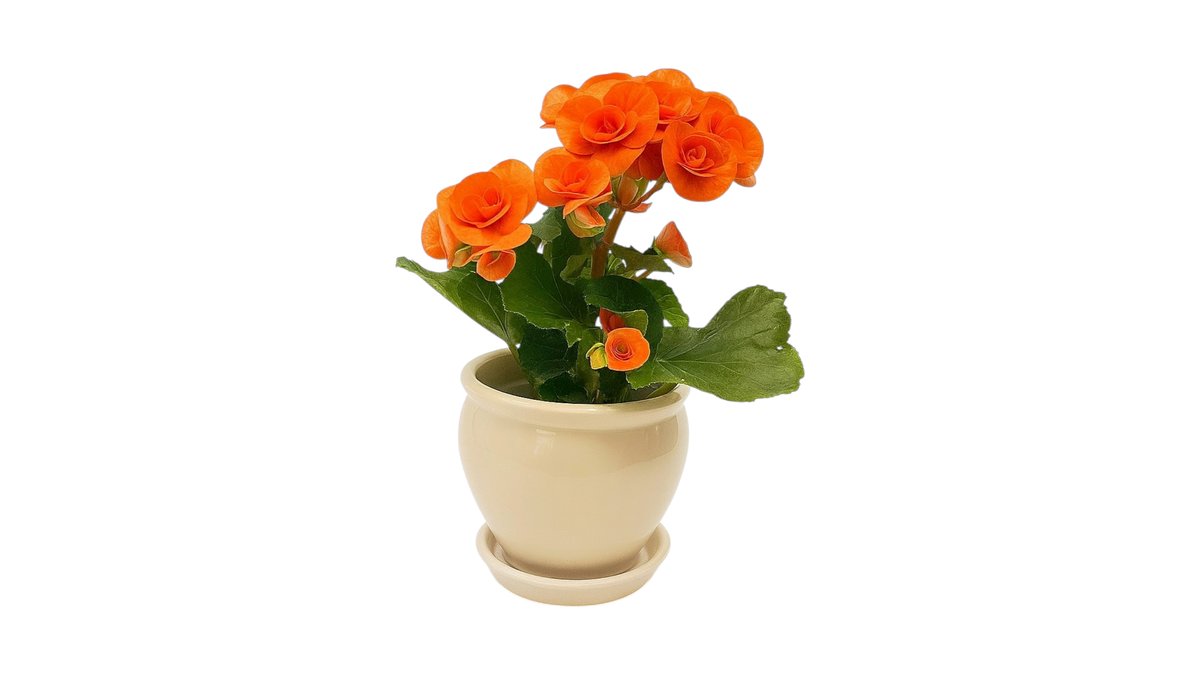 صورة المنتج 2