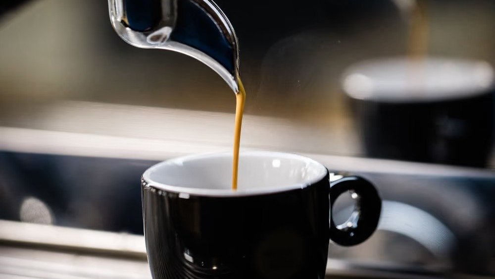 Image of Haute Cup Tomis