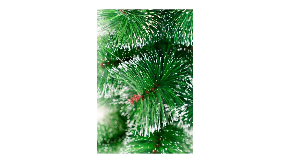 תמונת המוצר 2