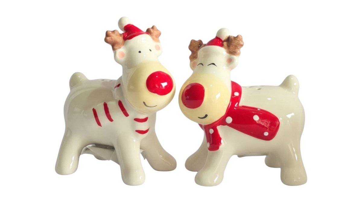 תמונת המוצר 2