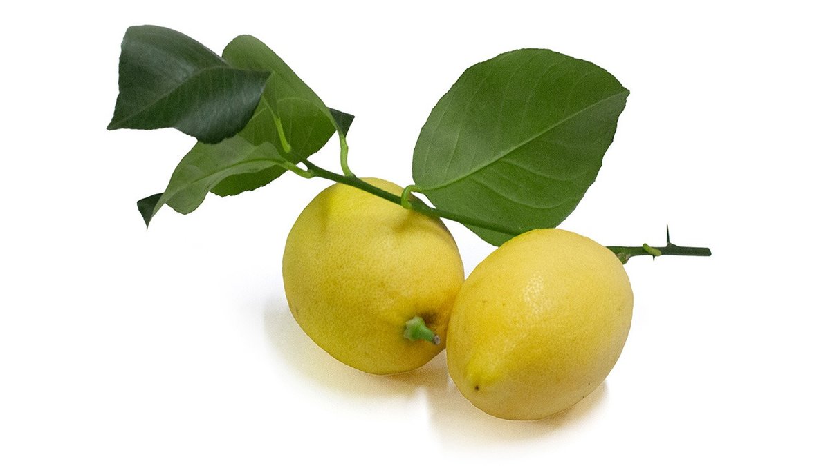 Premium Citroner (Uvoksede)