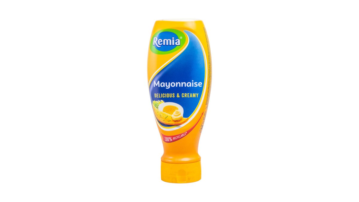 Remia Mayonnaise 480G