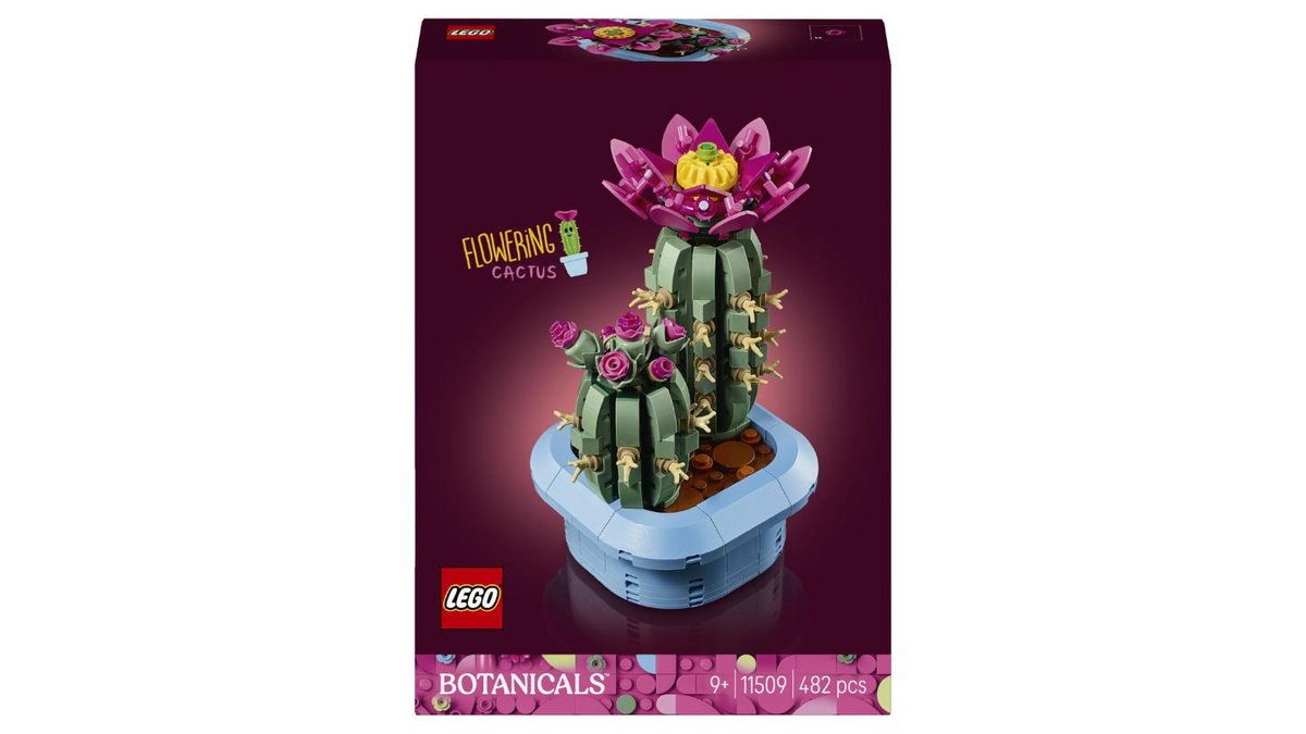 LEGO Botanicals 11509 Kvitnúci kaktus
