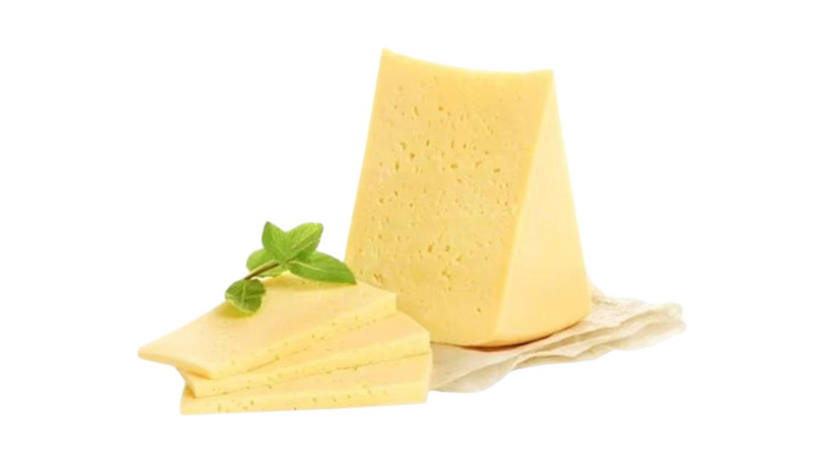 N1 Mozarella Pendirikq