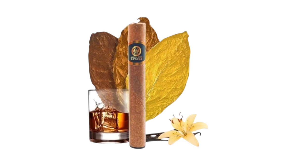 xo havana vape XO Havana - Venecia (20 mg, Engångs vape) main image 1