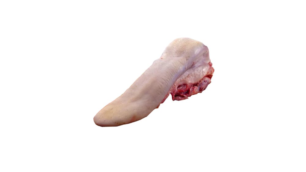 Ət Dana Dil kq