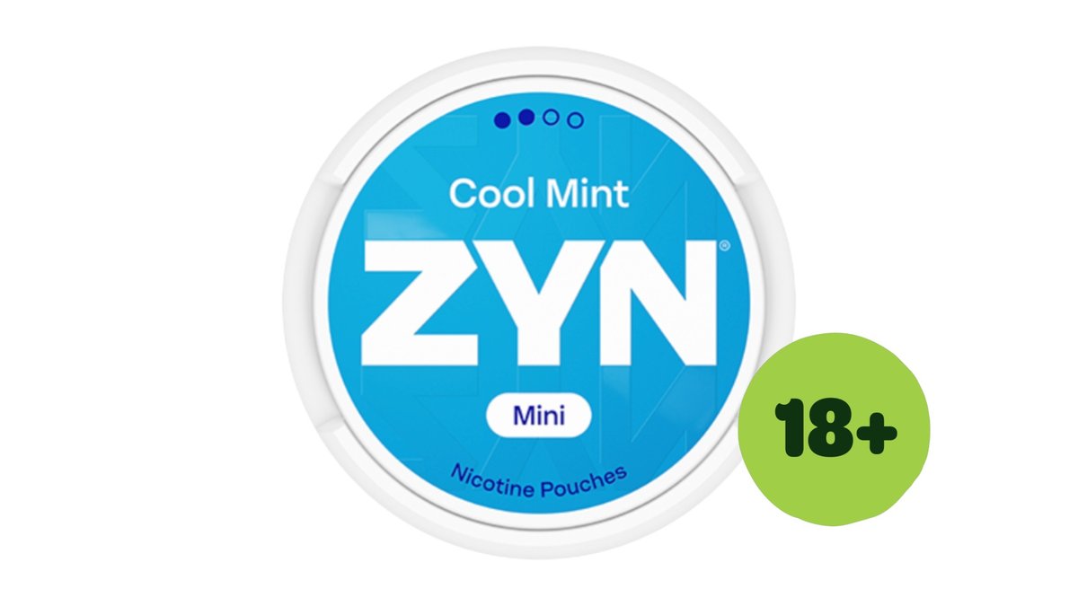ZYN Cool Mint Mini Normal 2/4