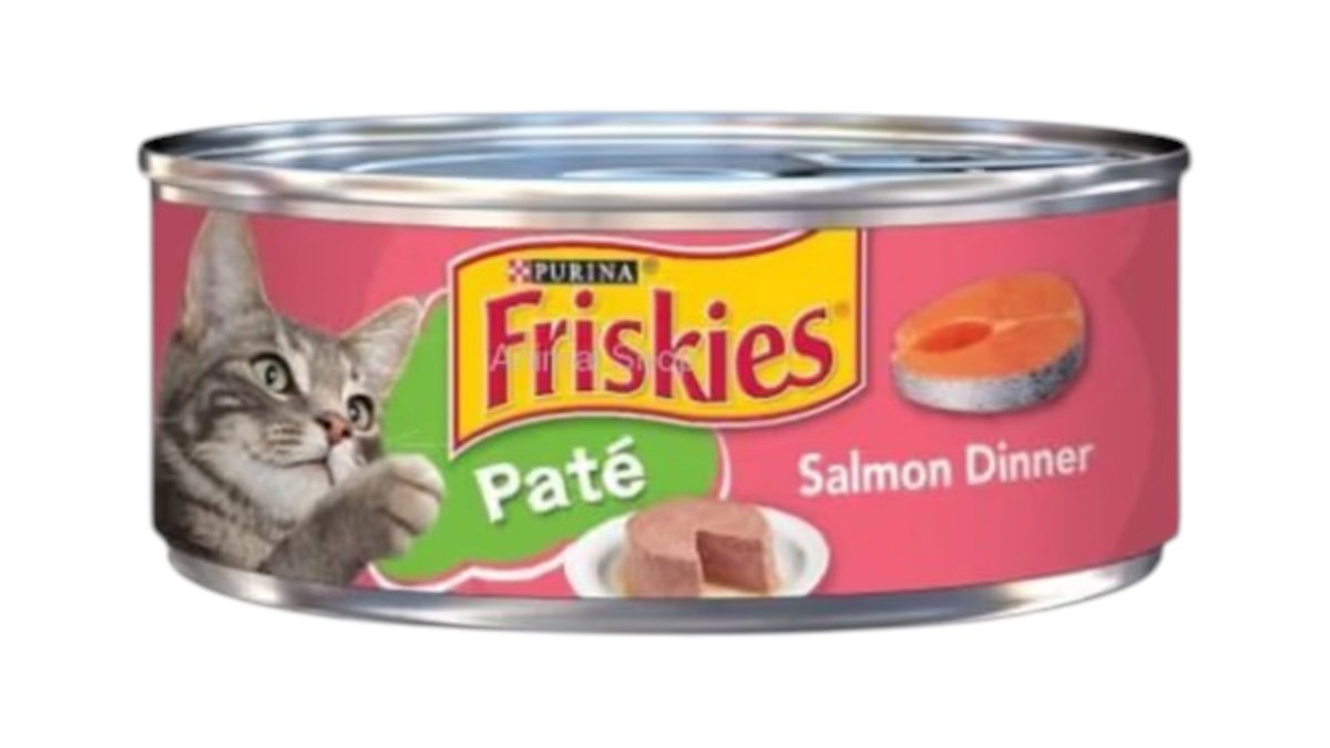 אוכל רטוב לחתולים פריסקיז Friskies פטה סלמון 156 גרם | שימורים ללא צבעי מאכל 🐈🐟 | חיות מחמד טמבוריה בשפירא