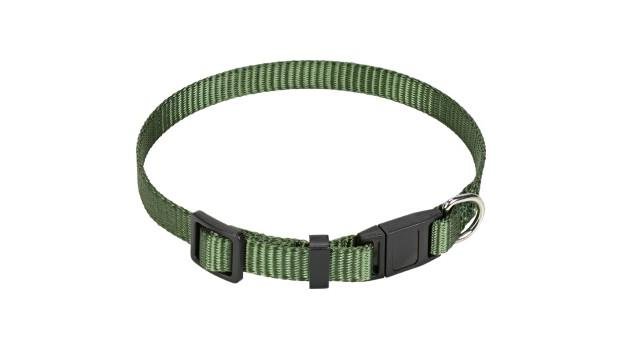 halsband hund name Leder Hundehalsband mit Name & Telefonnummer graviert / Minikauf.ch main image 0