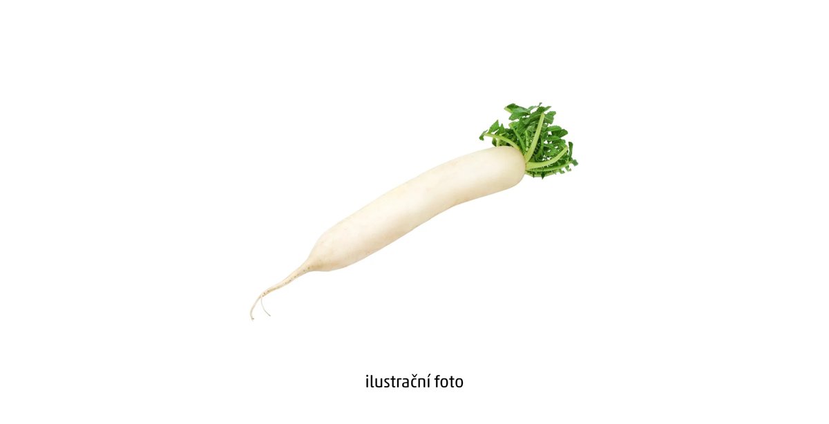 Ředkev bílá cena za ks