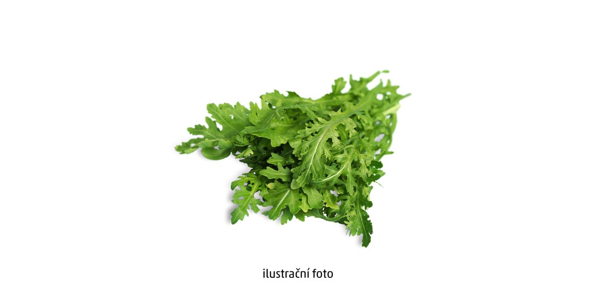 Salát mix Rucola / Polníček