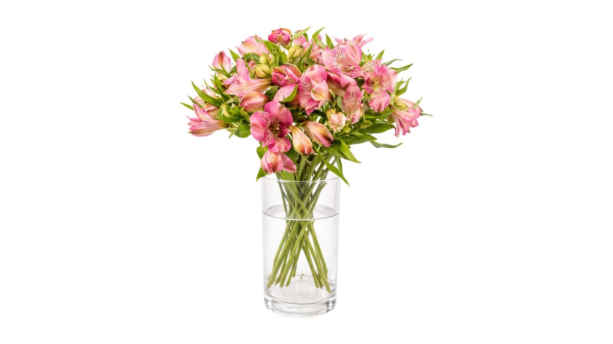 Mimea Alstroemeria rosa