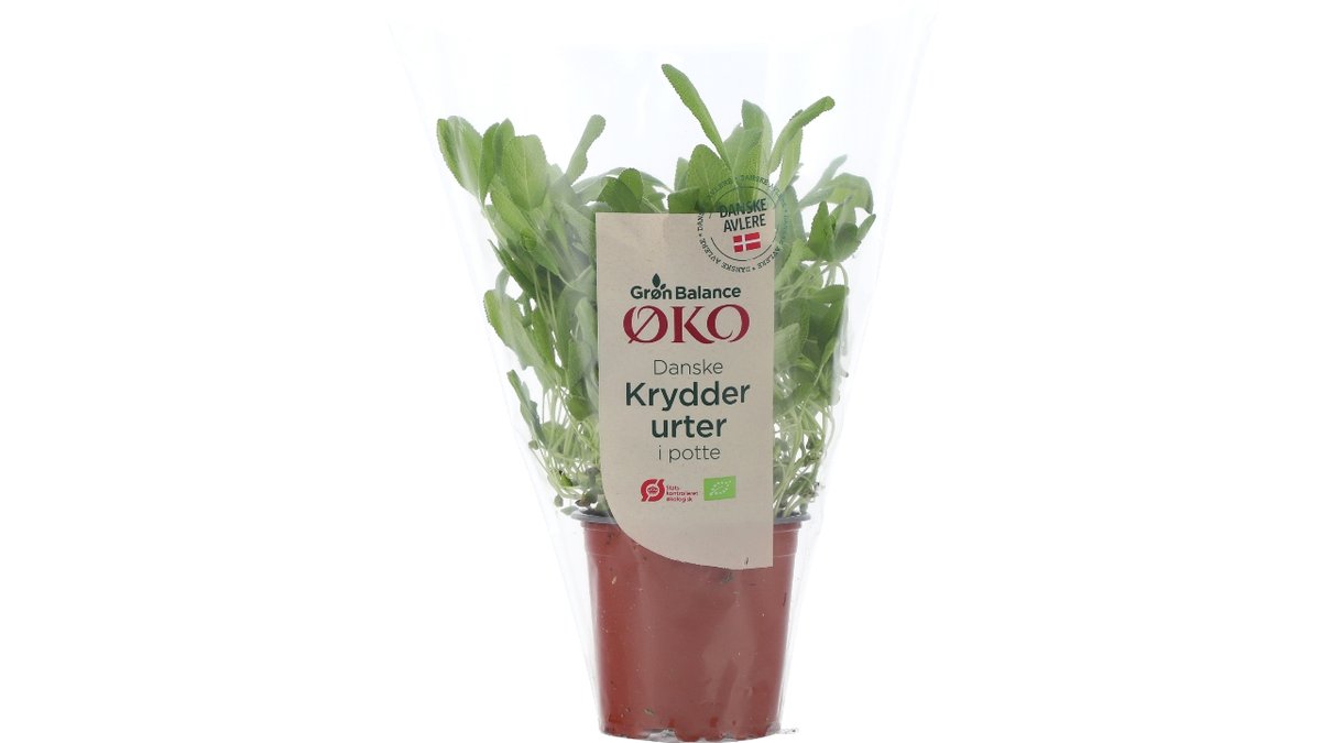 Øko-Salvie 1 Pt