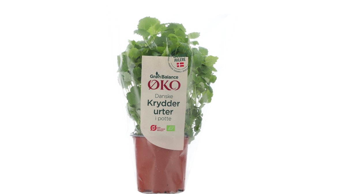 Øko-Citronmelisse 1 Pt