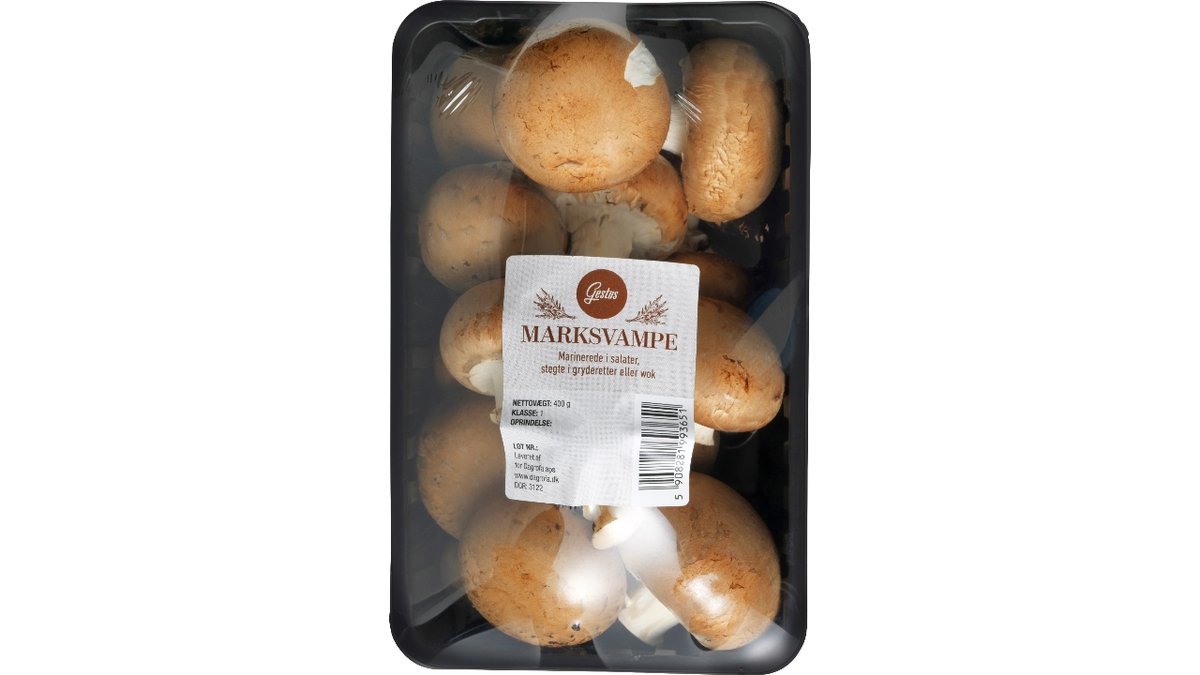 Mark Svampe 400 G