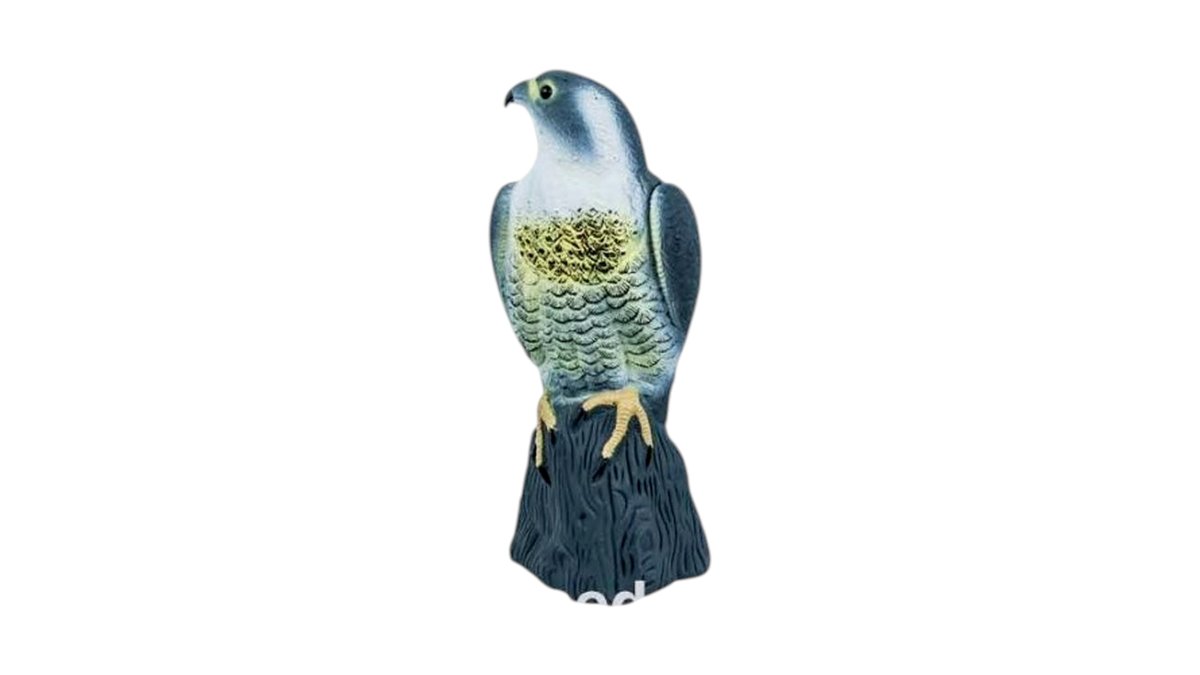 מרחיק יונים בז פלסטיק 🦅 דחליל עוף דורס נגד ציפורים 🛑 | טמבוריה בשפירא