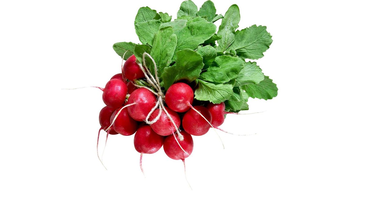 Ředkvičky 1 svazek