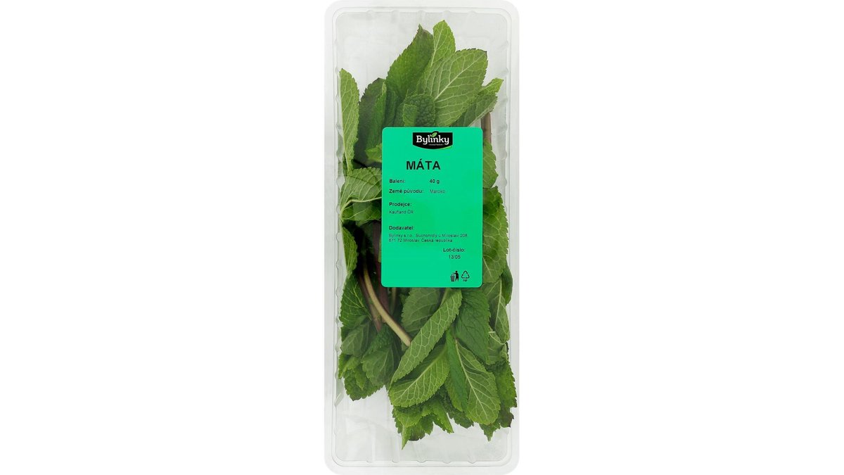 Herbs - Mint 40g pcs