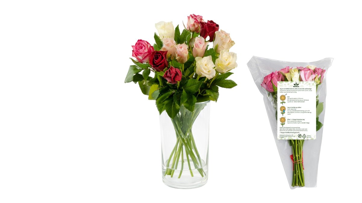 Roser Mix Kolde Farver 10 Stk (35Cm), Mimea