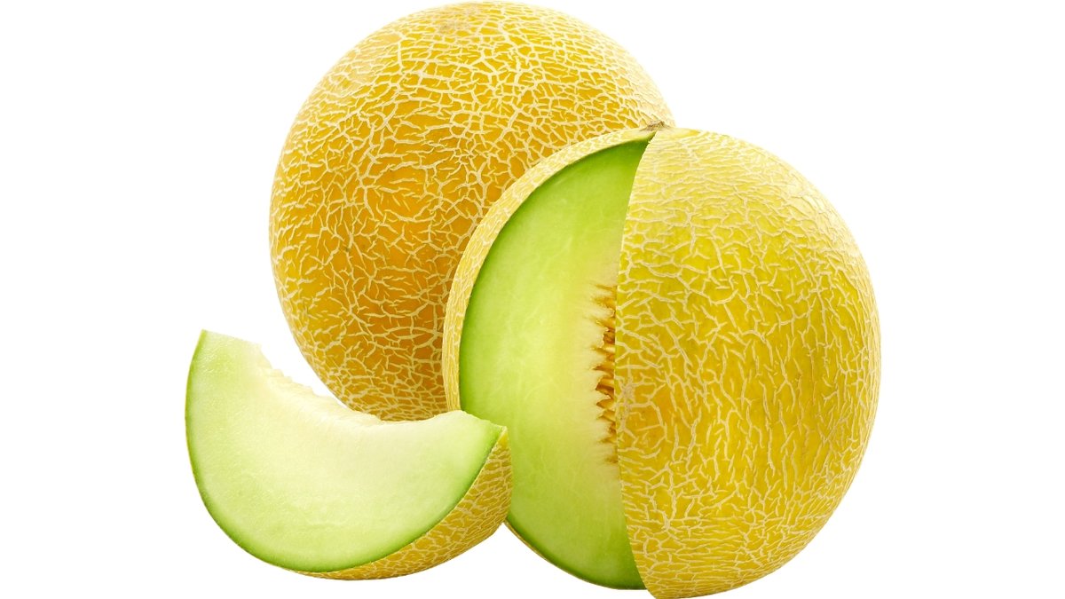 Galia Melon