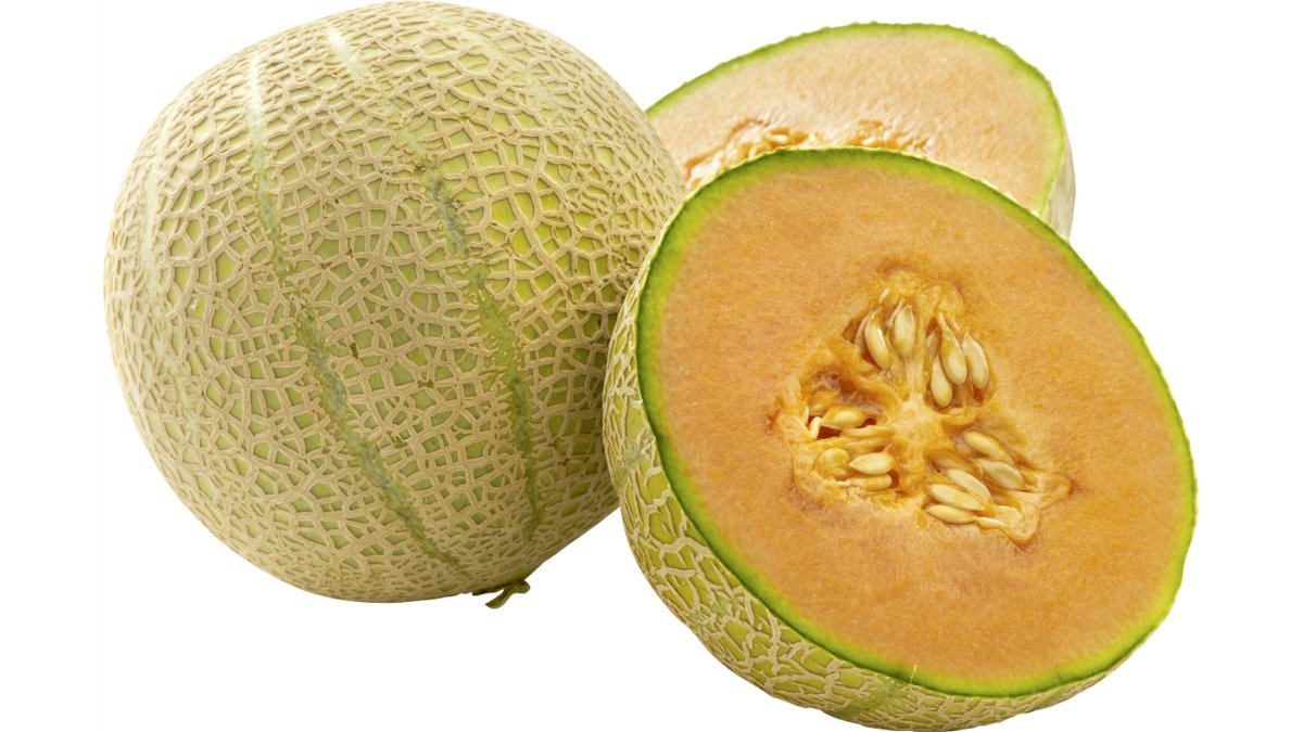 Cantaloup Melon
