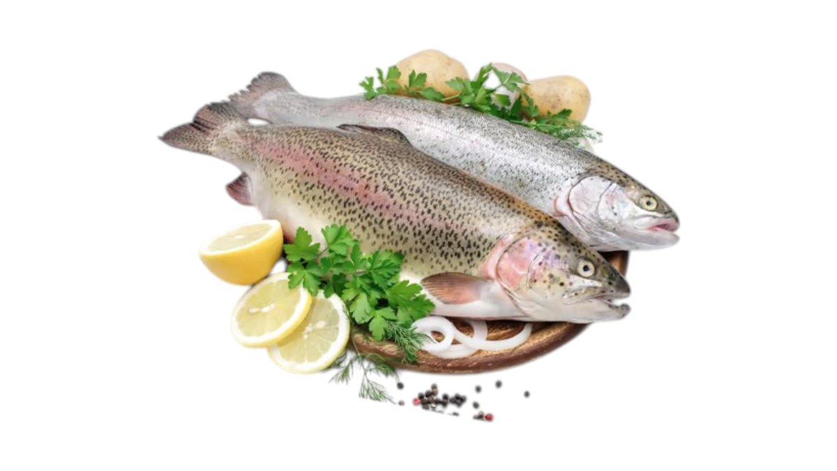 Mp Forel (1500-2500 gr) T.o kg