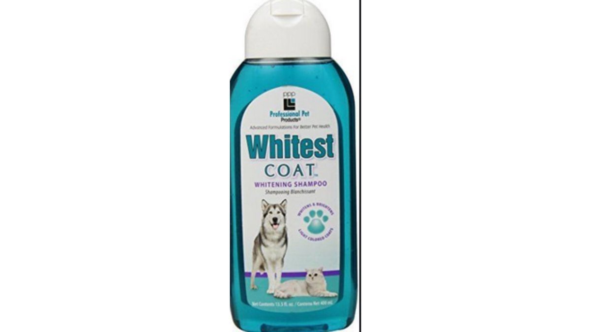 Whitest Coat Shampoo