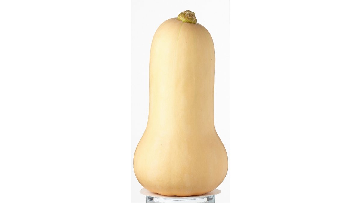 Øko Butternut Squash