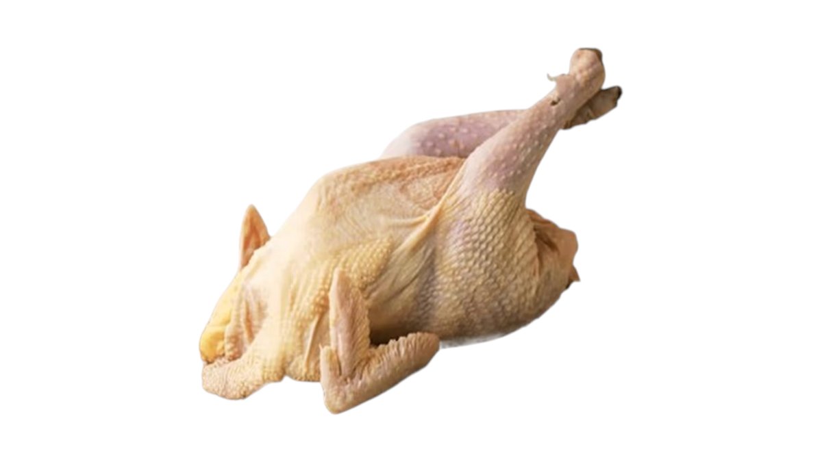 Quşçu Kənd Toyuğu