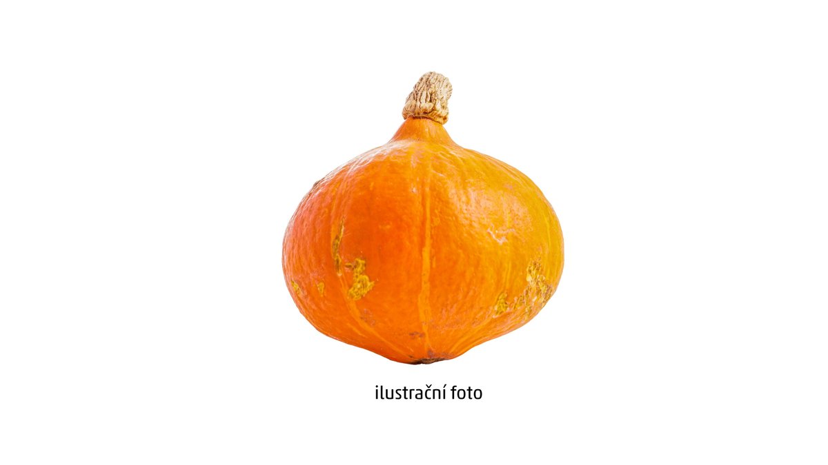 Dýně Hokaido cena za 1kg
