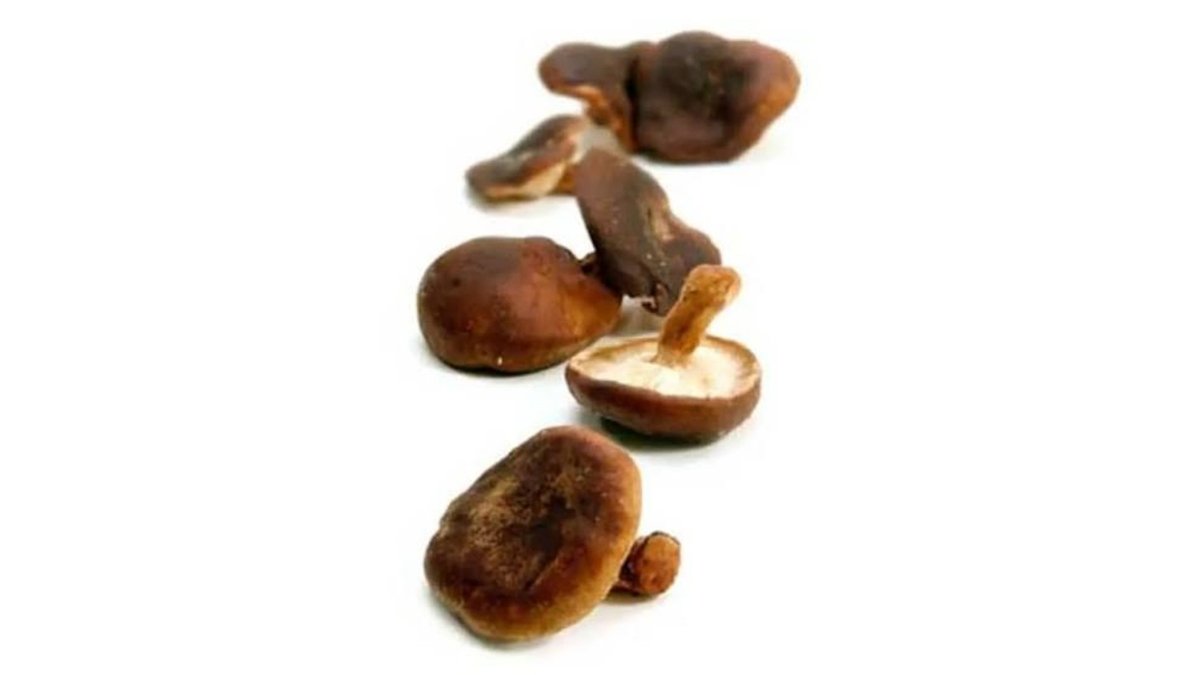 Øko-Shiitake