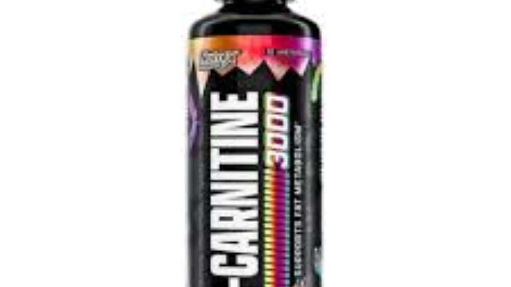 befit l carnitine L-CARNİTİN | it is essential to Candidate Glaucoma Biomarkers: From Does Not Contain_Sesame Pack Size:Combo