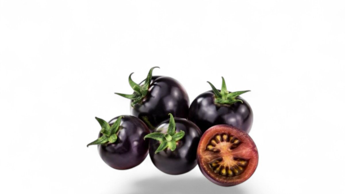 BVP Rajčata koktejlová černá 250g