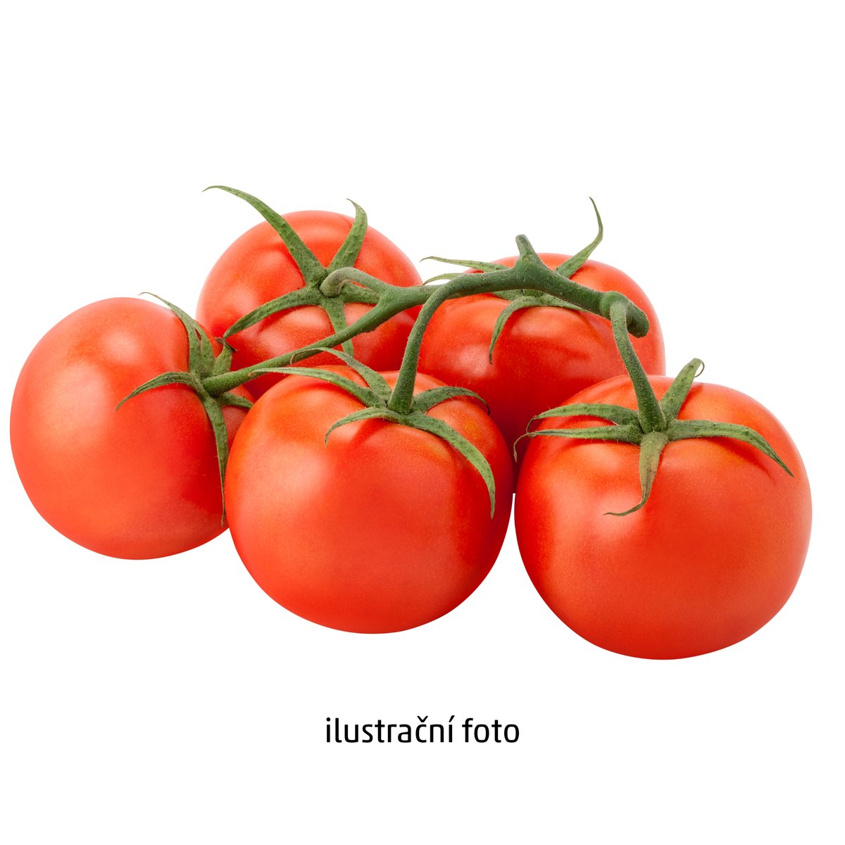 Rajčata keřík cena za 1kg