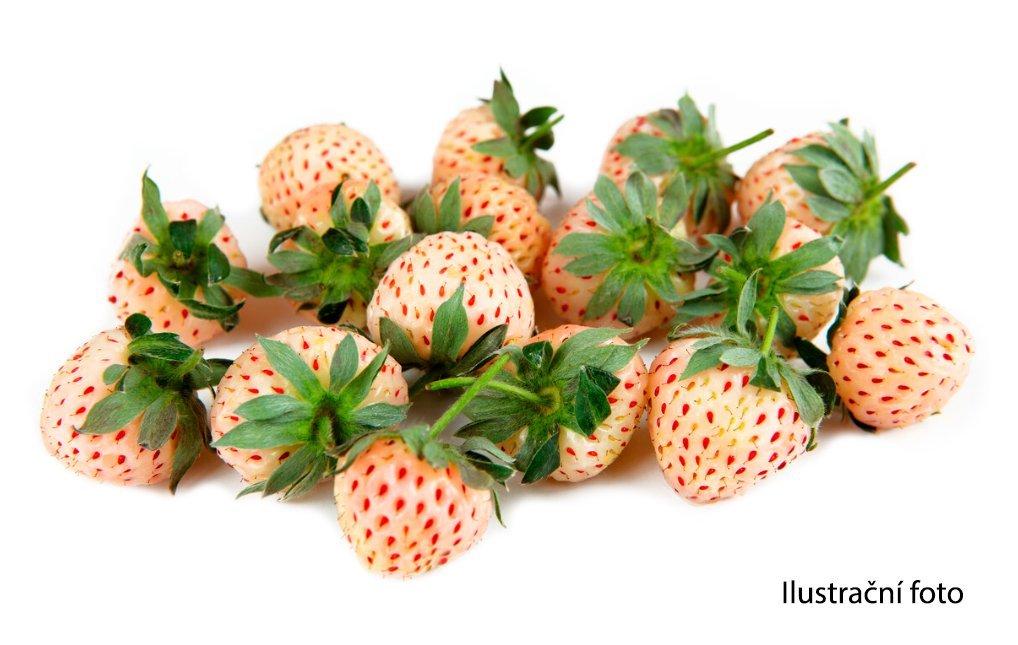 Jahody bílé 175g