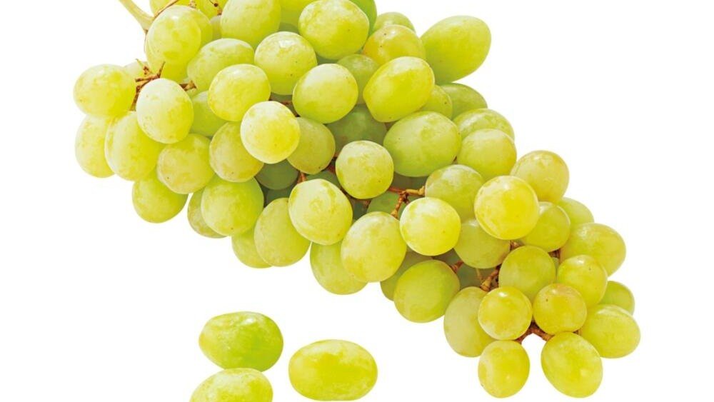 BV KOS BÍLÉ HR 500G