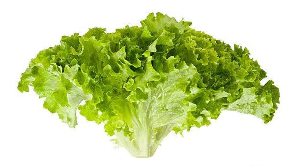 Salát Gentile 250g