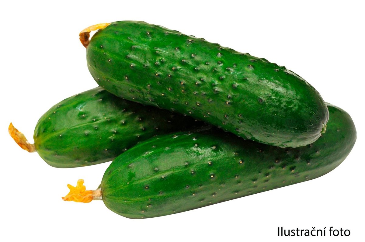 Česká Farma Okurky nakládačky