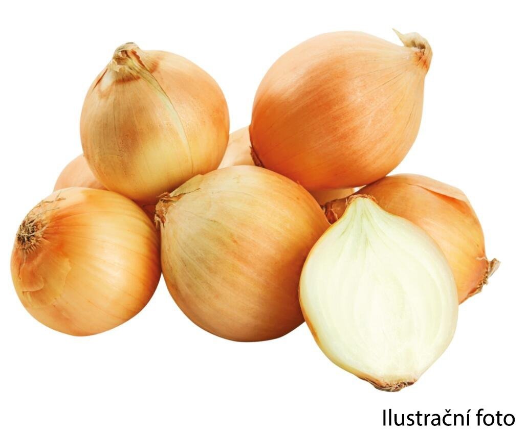 Cibule síťka 1kg