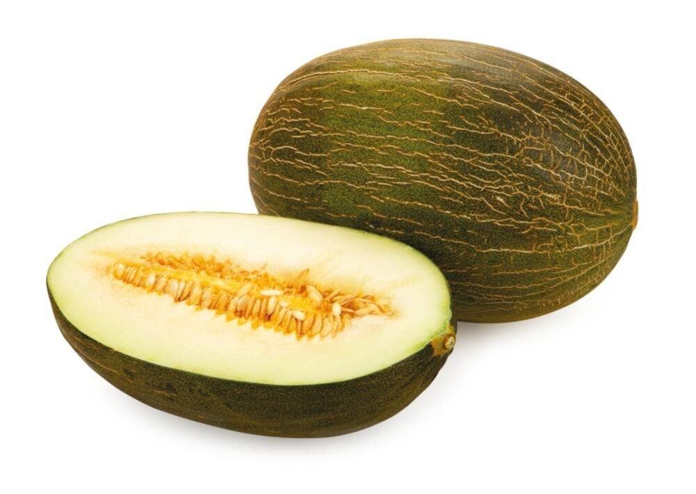 Meloun Piel de Sapo
