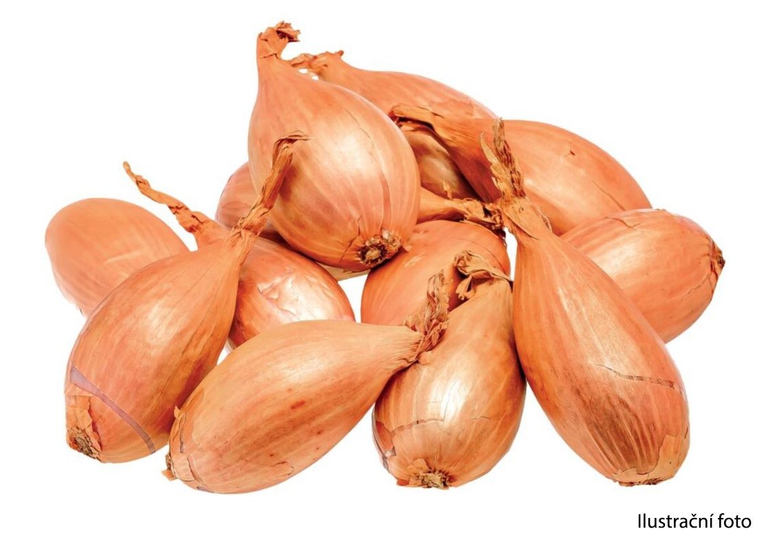 Česká Farma Šalotka cibule, 250g