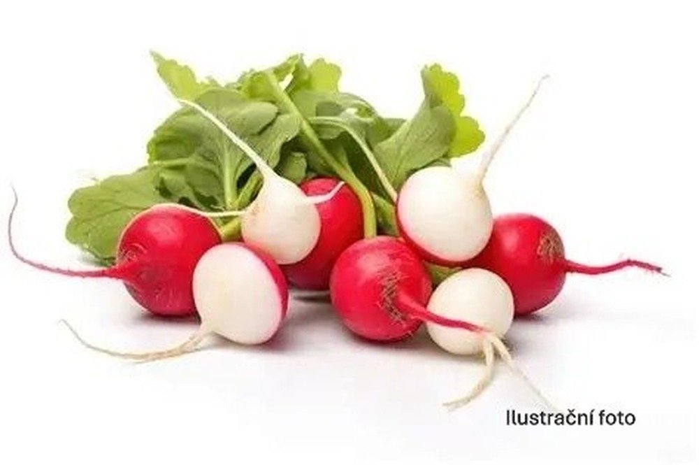 Ředkvičky Mix barev 200g