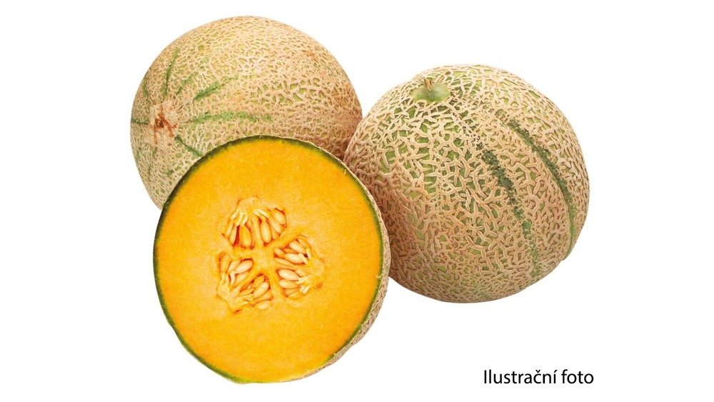Meloun Cantaloupe